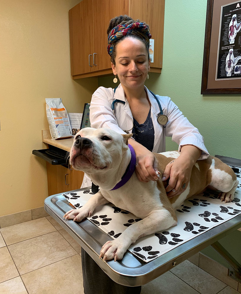 Wellness Preventative care entails more than just vaccinating your pet, includes regular veterinary exams every 6 months, since pets age must faster than humans do.